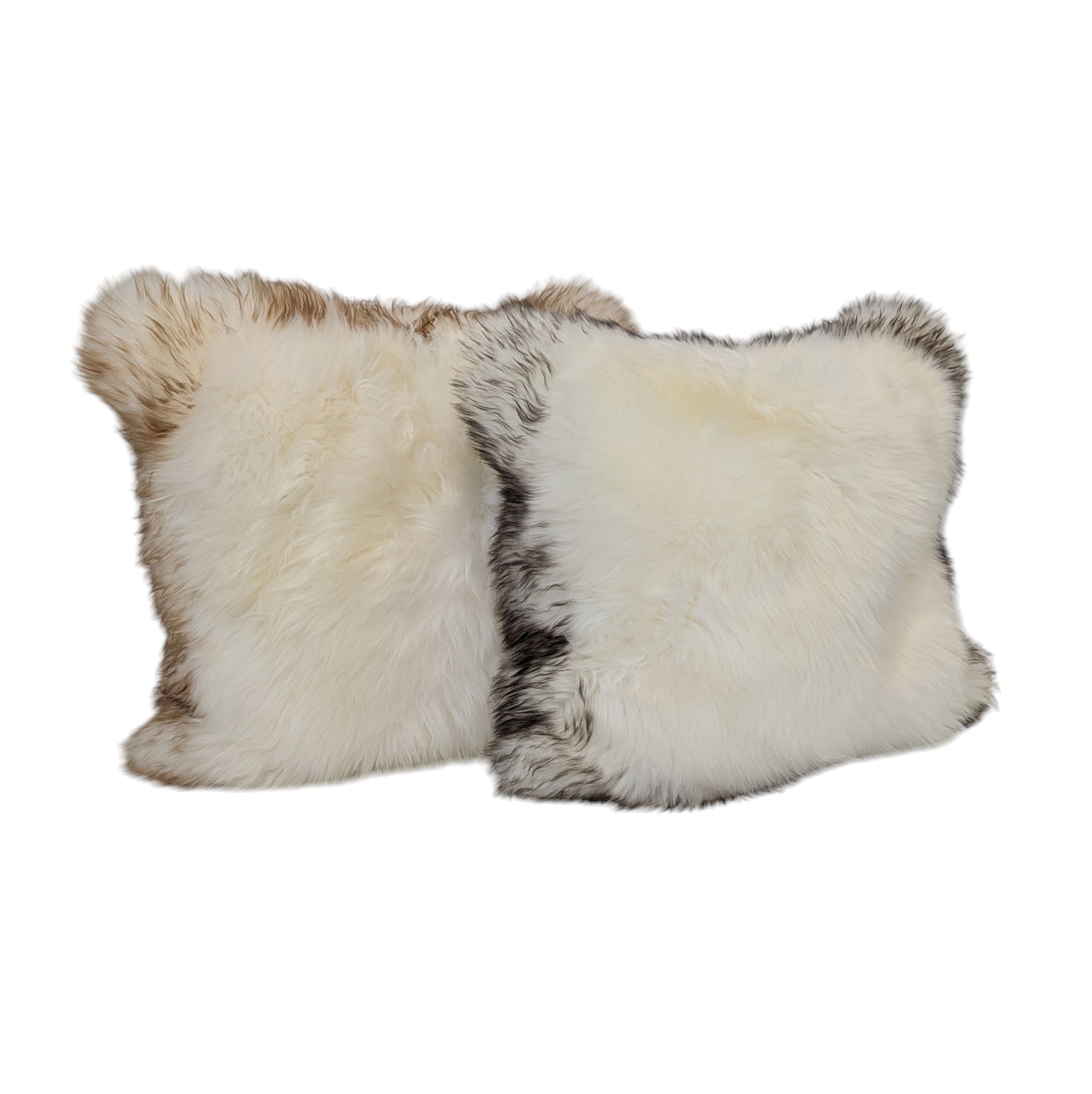 Trimmed Cushion Cover